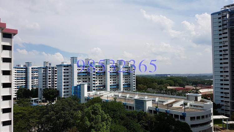 Blk 206 MARSILING DRIVE (Woodlands), HDB 3 Rooms #147229912